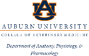 Auburn University Logo